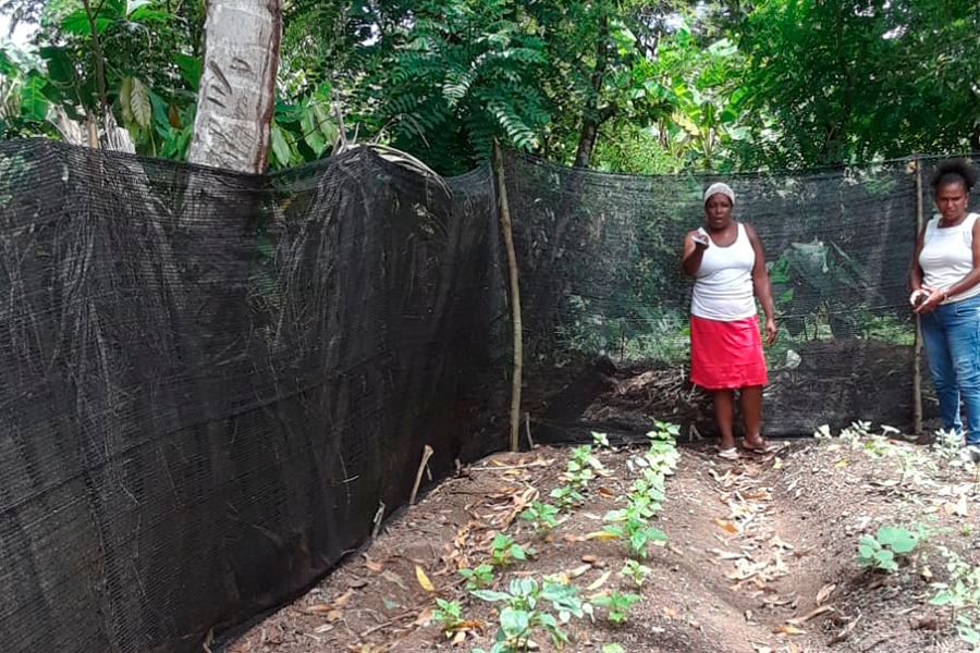 Mujeres por la equidad de género y la economía social y solidaria en el corredor del Caribe
