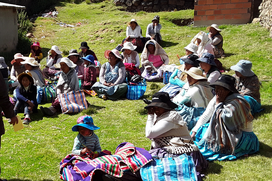 Derechos económicos y a una vida libre de violencia de las mujeres indígenas campesinas en Bolivia