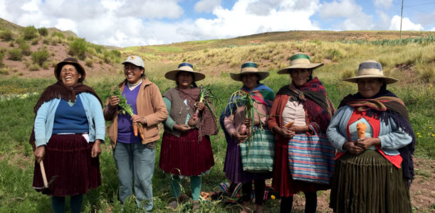 Tejiendo Alianzas por el derecho a una alimentación saludable y sostenible