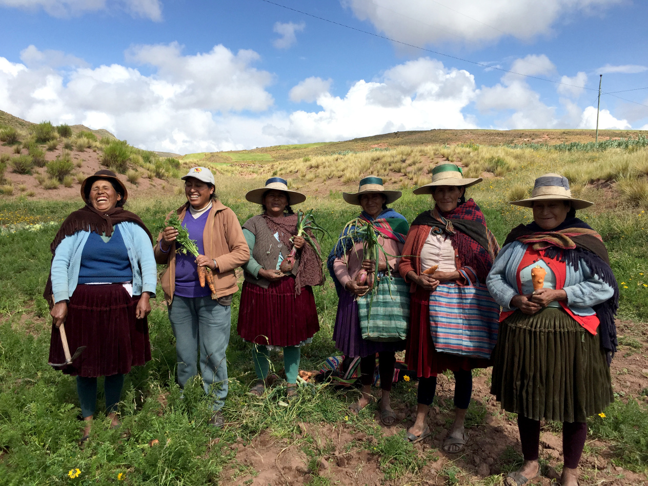 Tejiendo Alianzas por el derecho a una alimentación saludable y sostenible