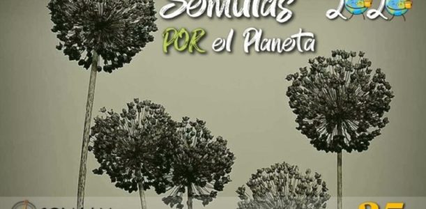 ACCIONES PARA UN PLANETA MÁS SOSTENIBLE