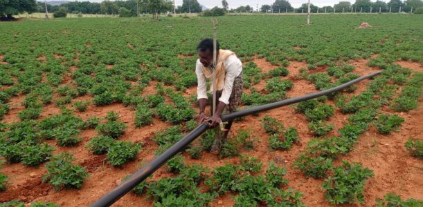 Medios de vida resilientes y seguridad alimentaria en Nazavalli, India