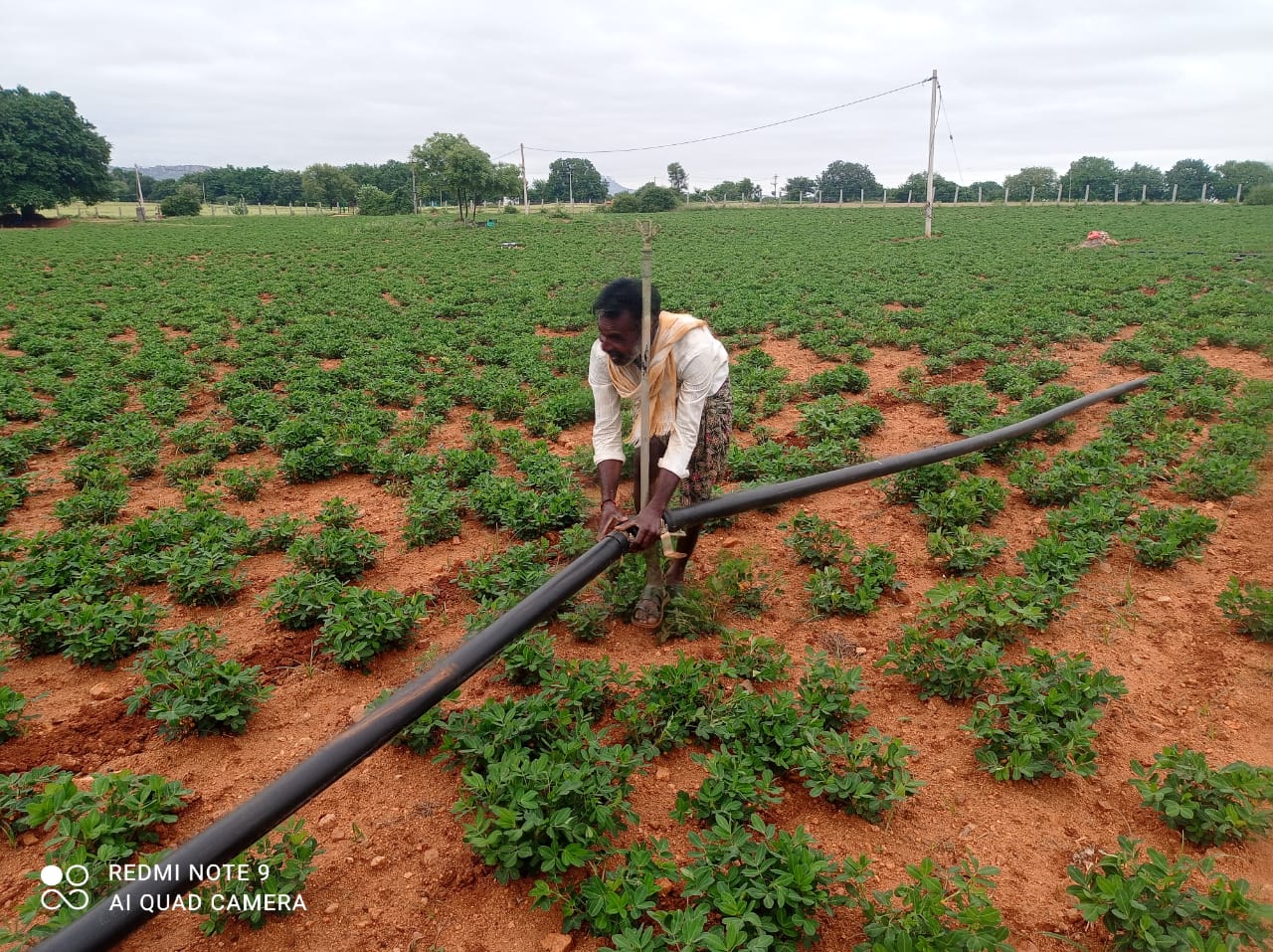 Medios de vida resilientes y seguridad alimentaria en Nazavalli, India