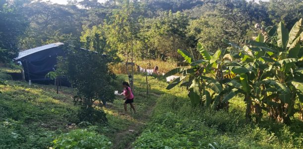 SOLMAN – Mejora del sector agrícola en el Salvador