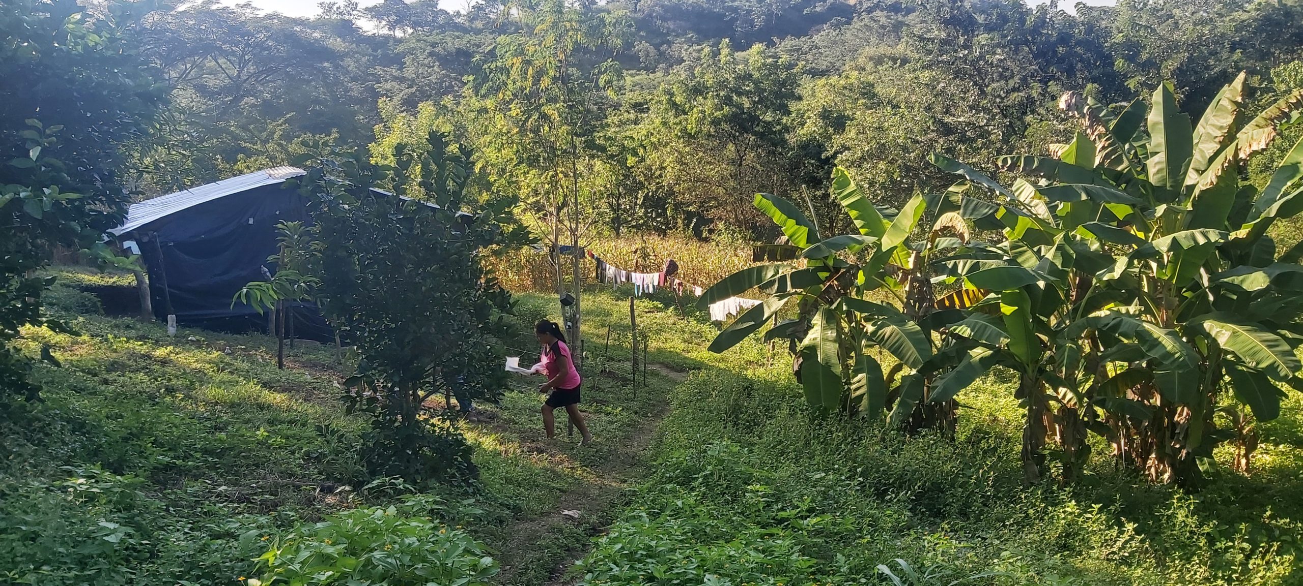 SOLMAN – Mejora del sector agrícola en el Salvador