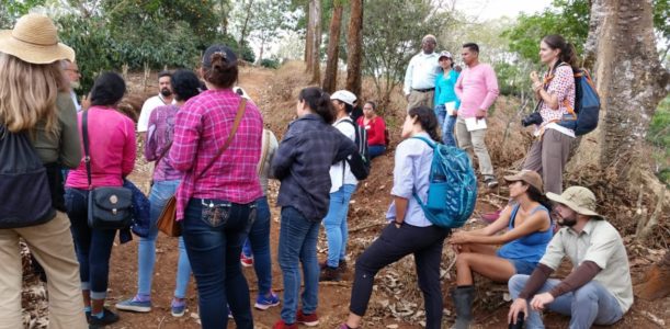 Movimiento por la Paz – Avanzando en la estrategia de justicia ambiental