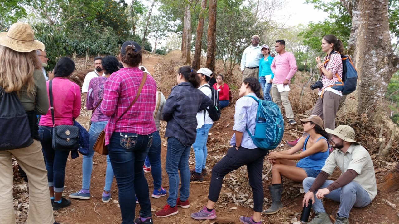 Movimiento por la Paz – Avanzando en la estrategia de justicia ambiental