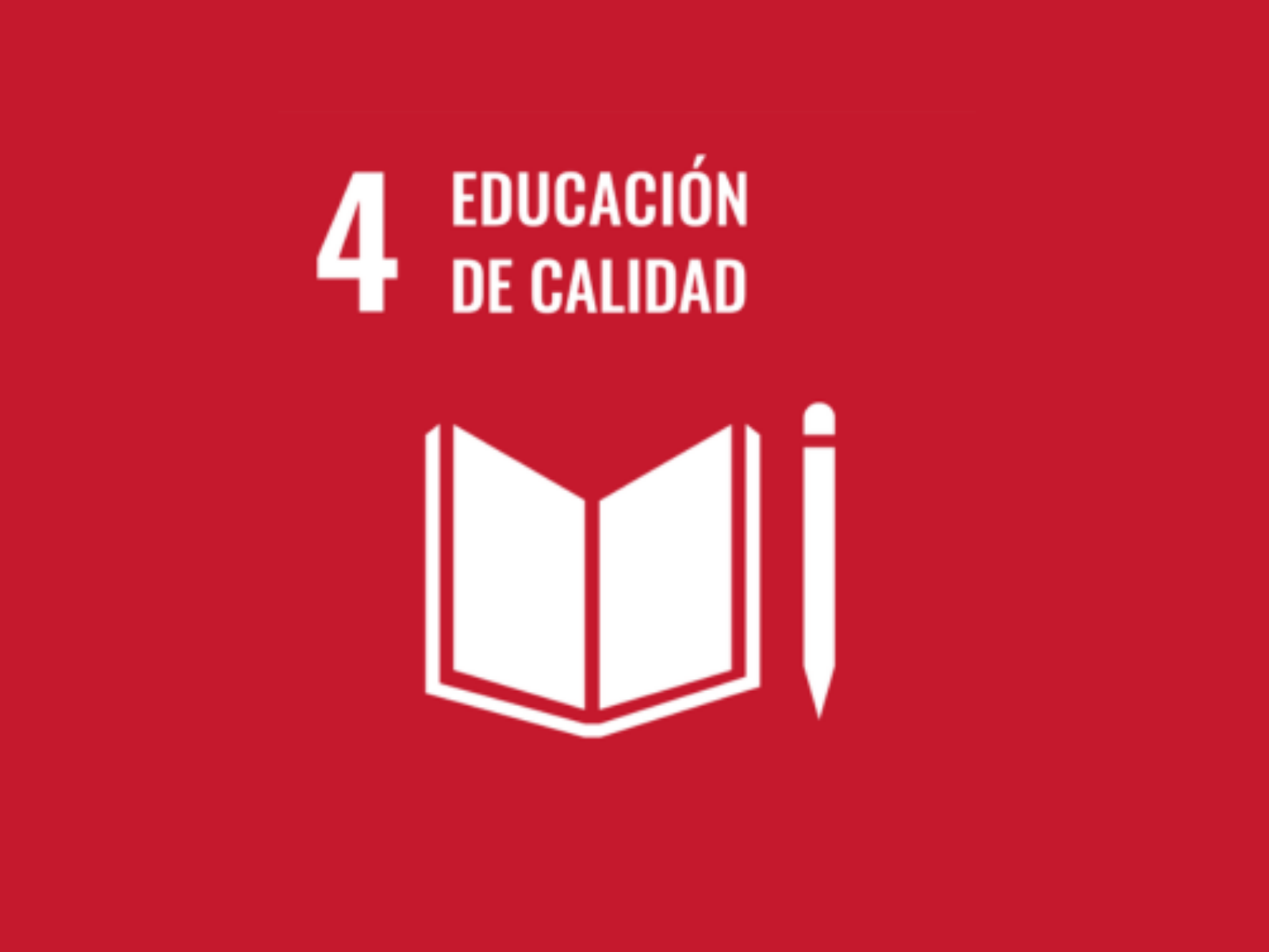 Tejiendo Alianzas por una educación de calidad e inclusiva